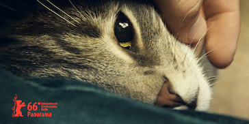 Kater