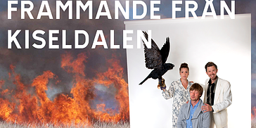Främmande från Kiseldalen